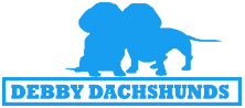 Debby Dachshunds